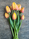 Tulips