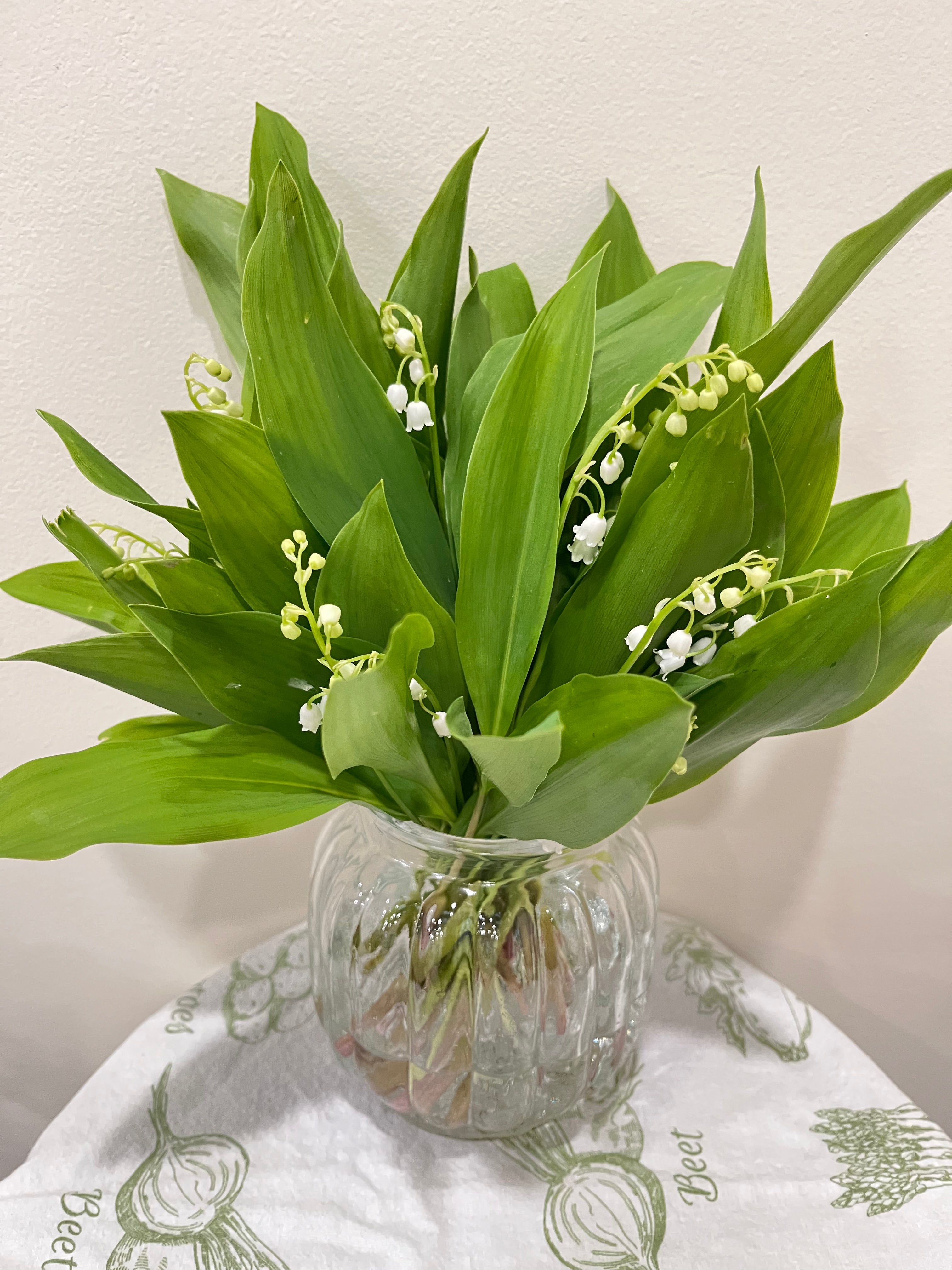 Lily of the valley