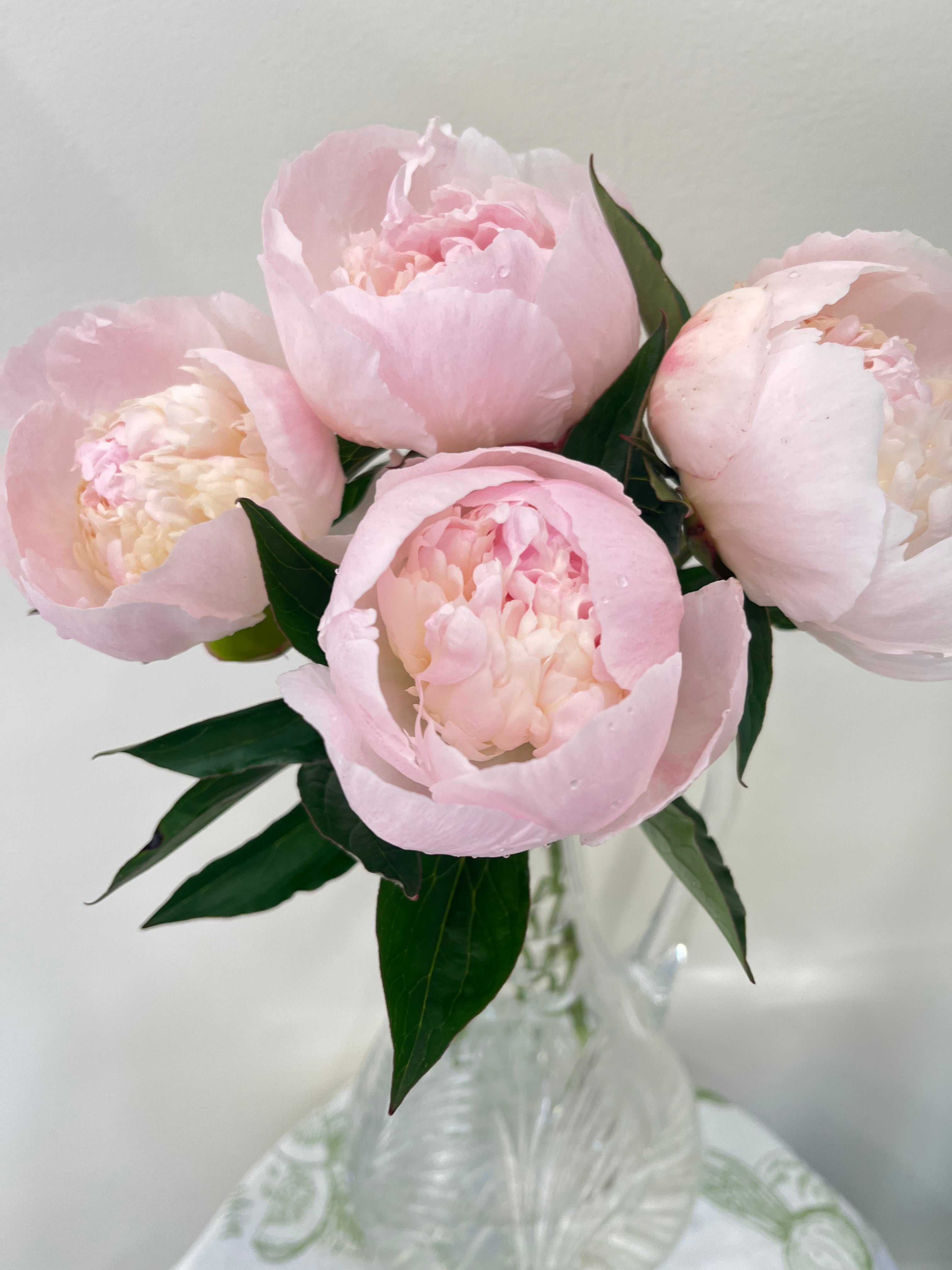 Peonies