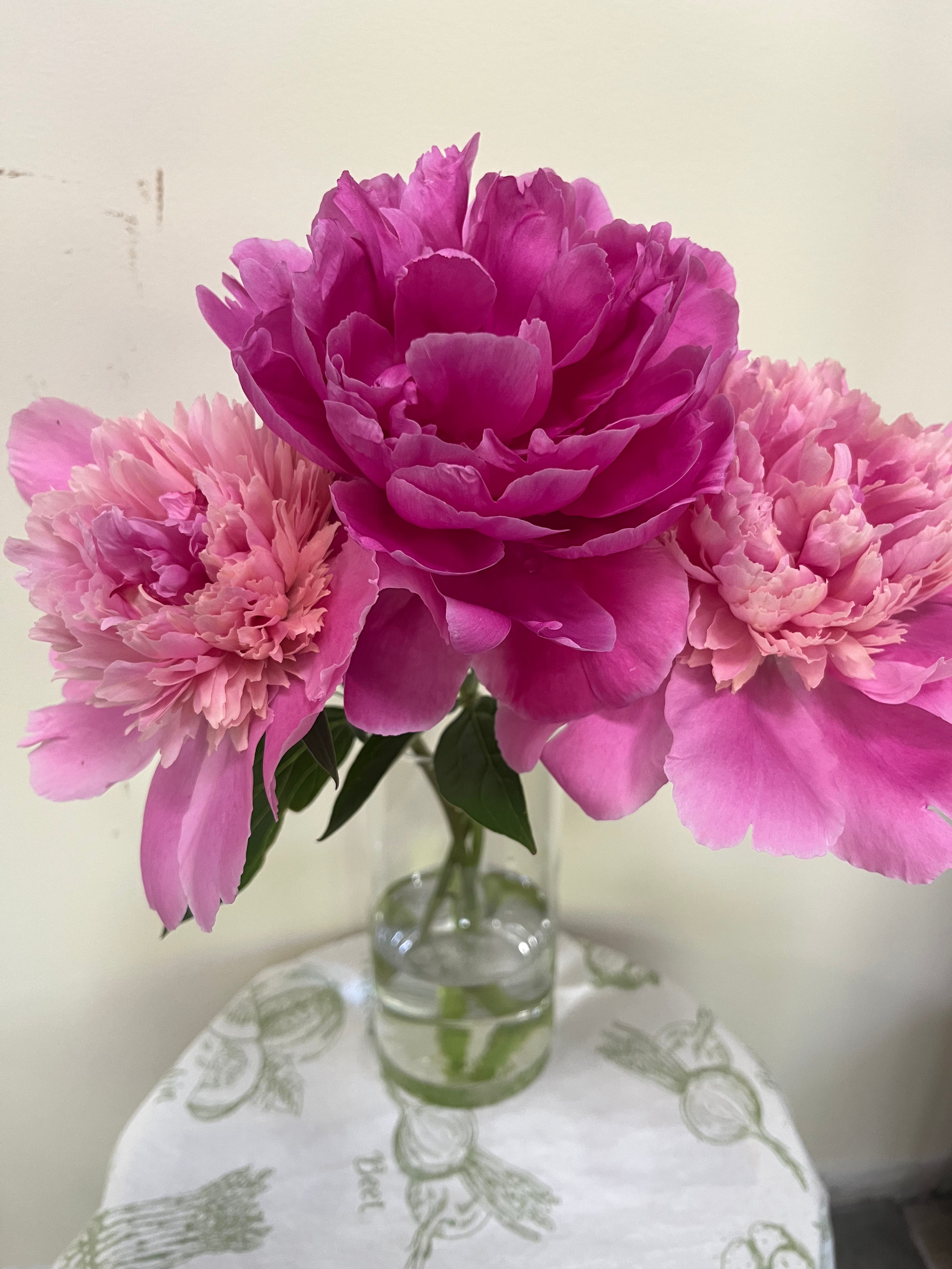 Peonies