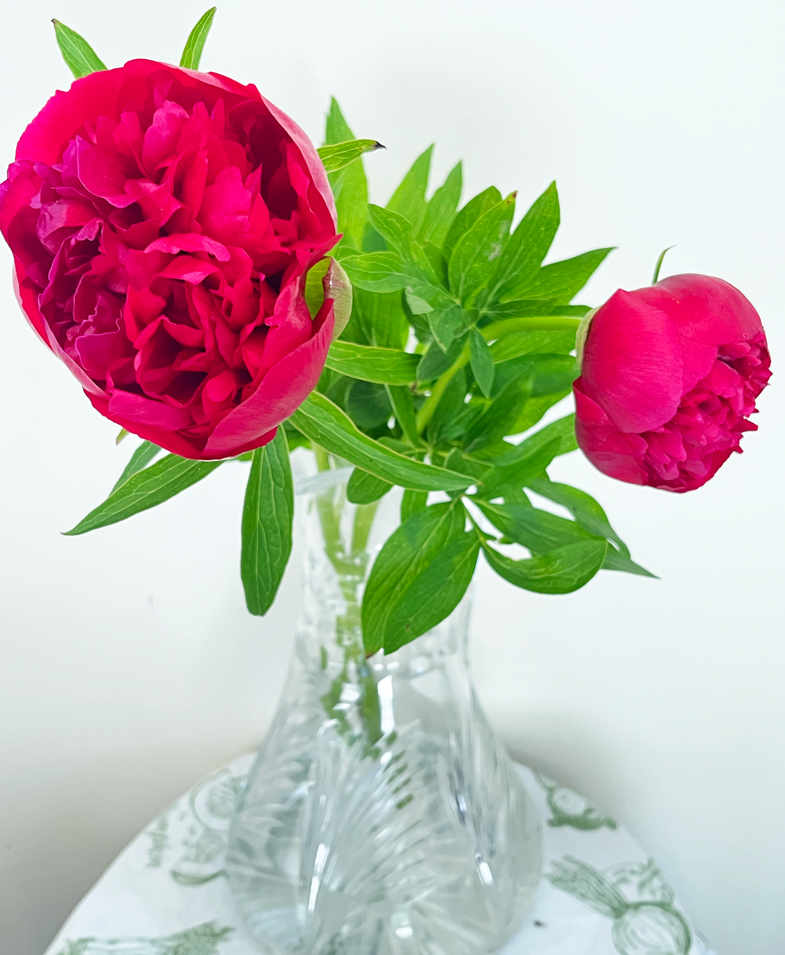 Peonies