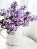 Lilacs